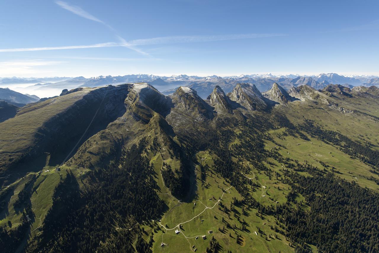 Hotel Stump'S Alpenrose Wildhaus Esterno foto