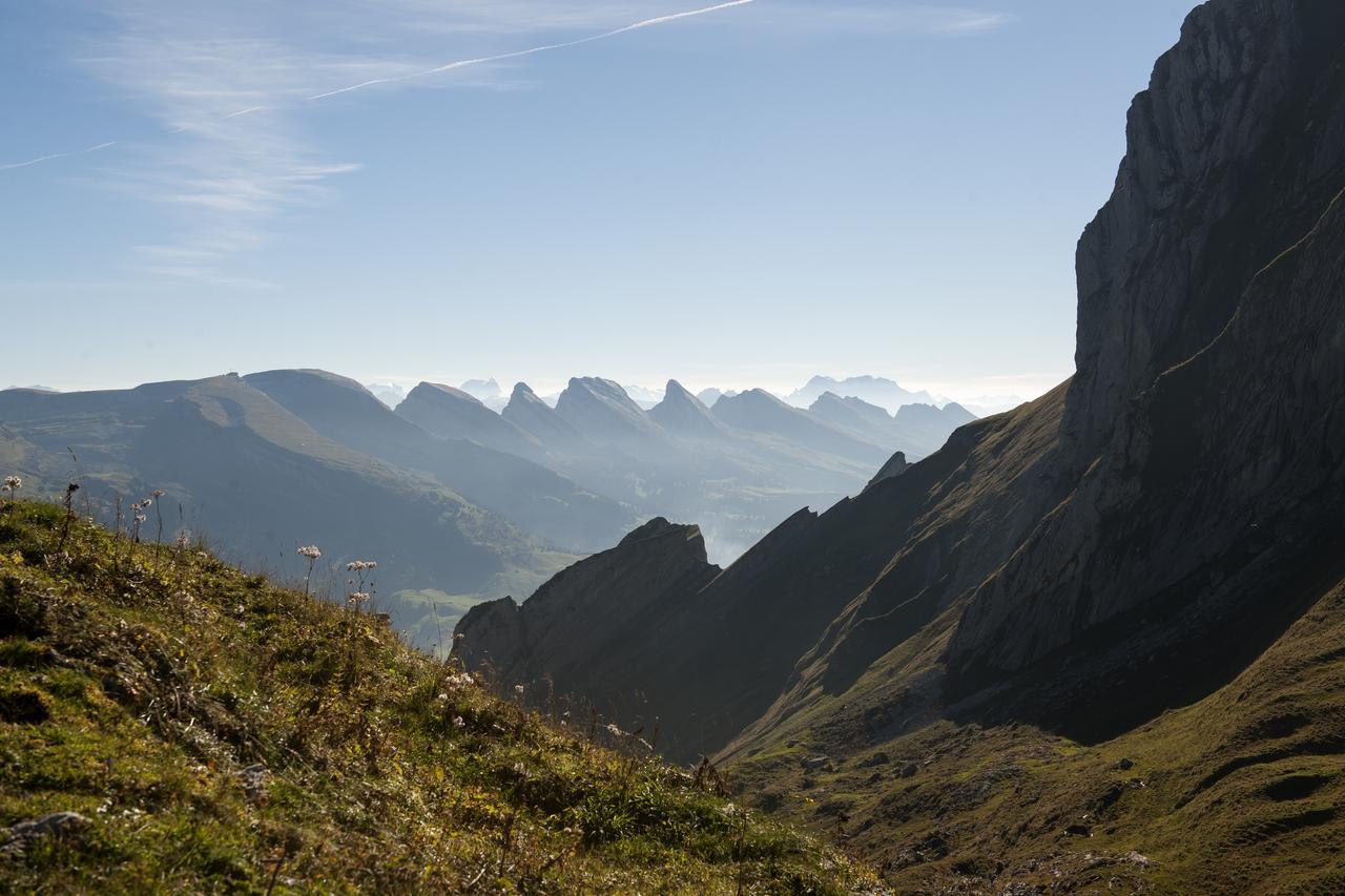Hotel Stump'S Alpenrose Wildhaus Esterno foto